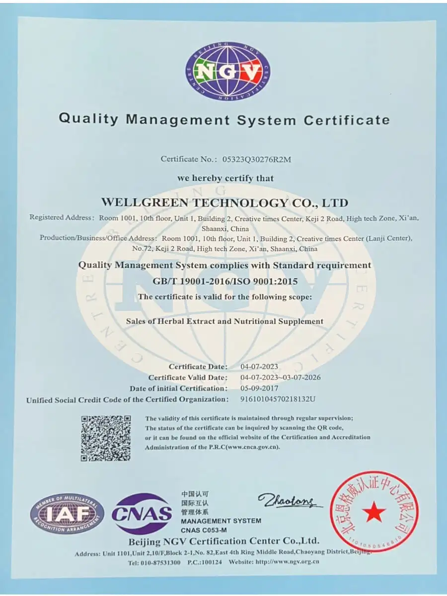ISO9001 - Wellgreen ISO9001 - Wellgreen
