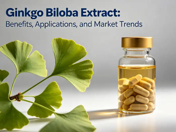 Ginkgo biloba extract Ginkgo biloba extract