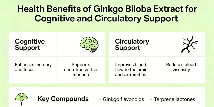 Health Benefits of Ginkgo Biloba Extract for Cognitive and Circulatory Support Health Benefits of Ginkgo Biloba Extract for Cognitive and Circulatory Support