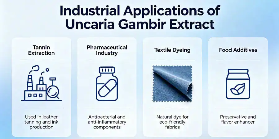 Industrial Applications of Uncaria Gambir Extract