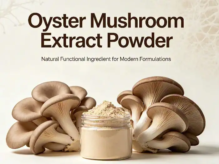 oyster mushroom extract powder