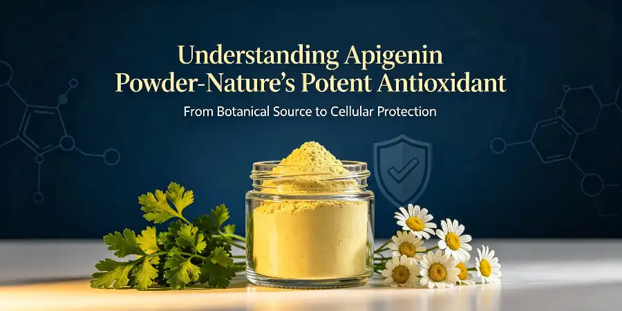 Understanding Apigenin Powder-Nature's Potent Antioxidant