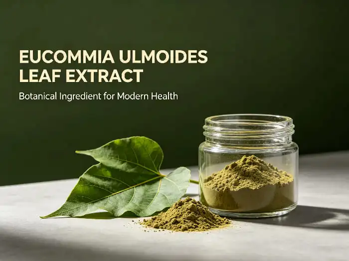Eucommia ulmoides leaf extract Eucommia ulmoides leaf extract