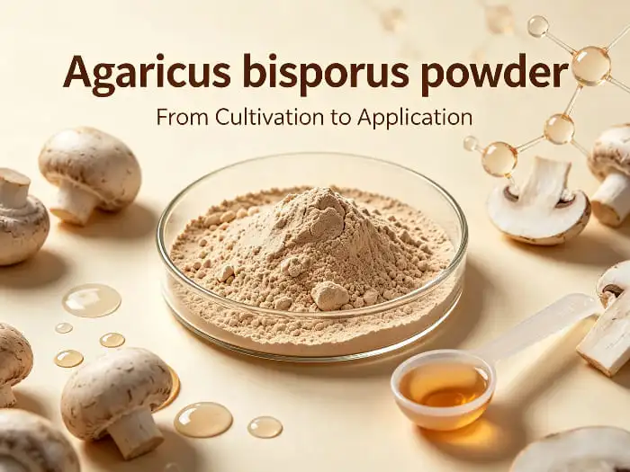 Agaricus bisporus powder Agaricus bisporus powder