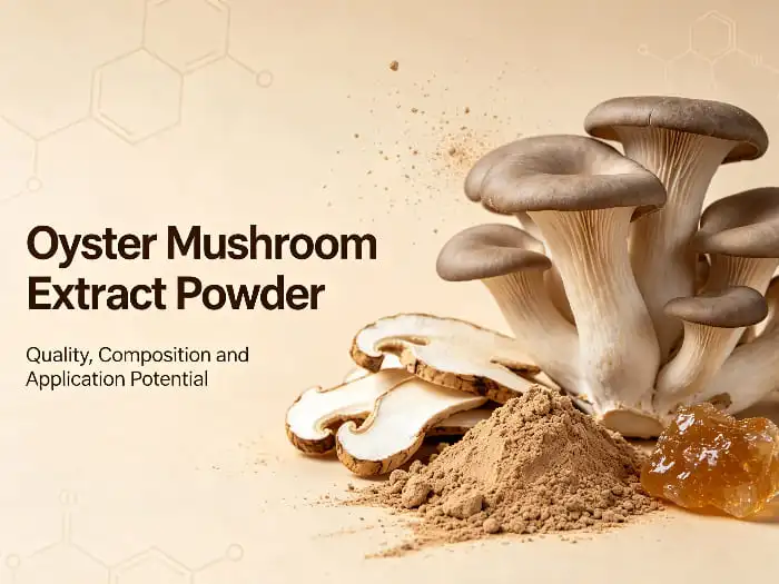 Oyster mushroom extract powder