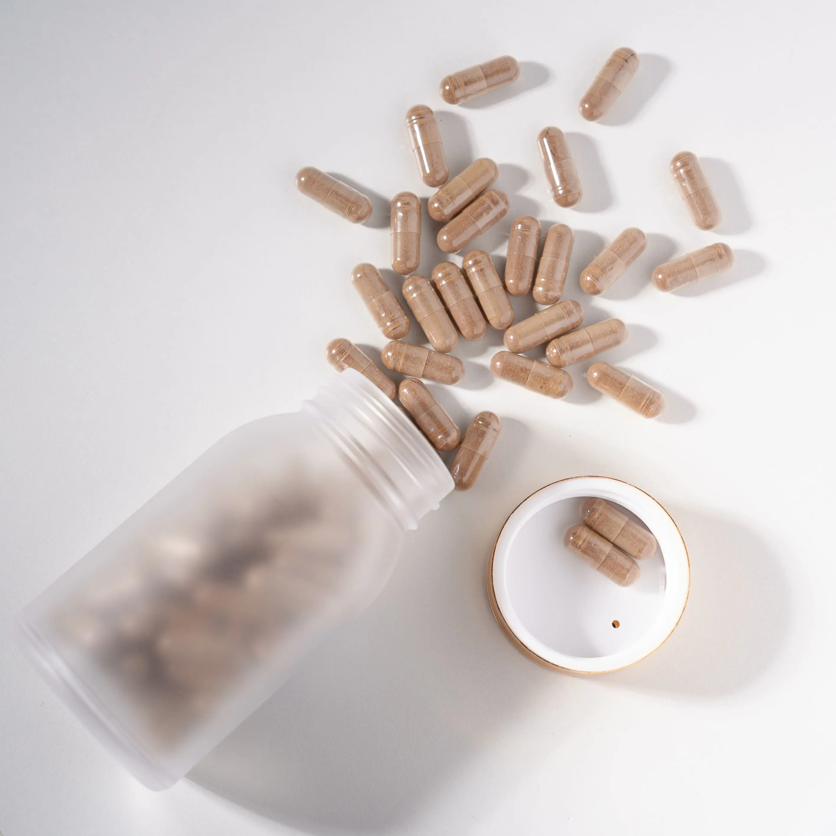 Shilajit Capsules Shilajit Capsules