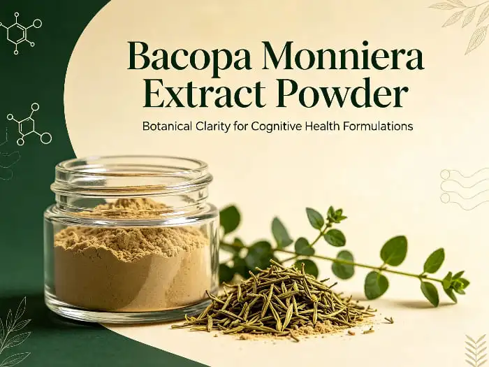 Bacopa Monniera Extract Bacopa Monniera Extract