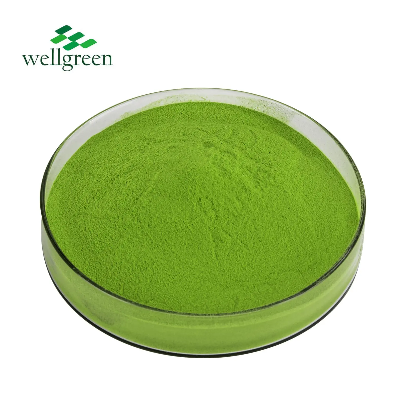 Organic Matcha Tea Powder Organic Matcha Tea Powder