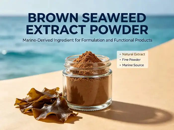 Brown seaweed extract powder