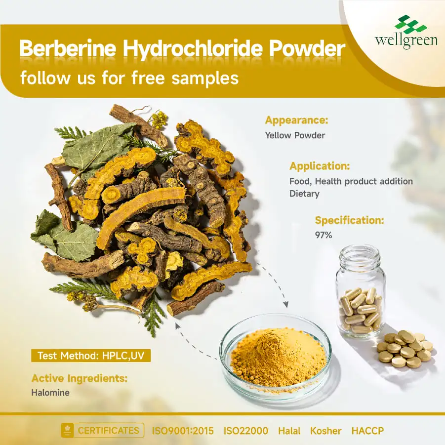 Berberine HCl Powder