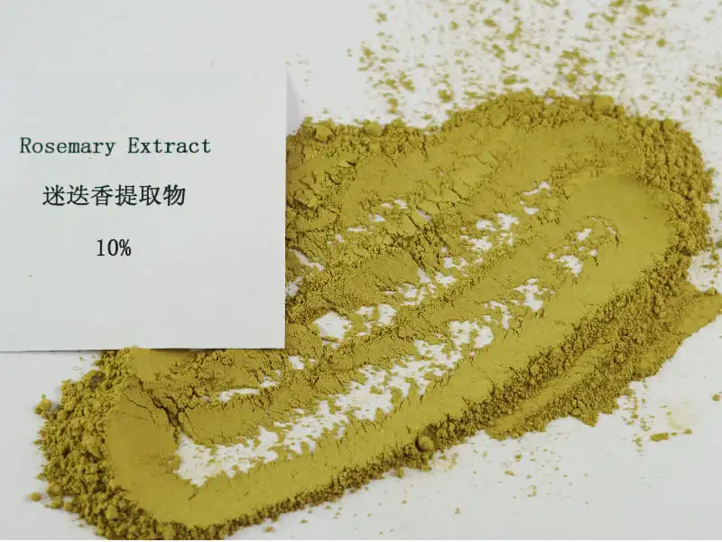 Rosemary Extract powder