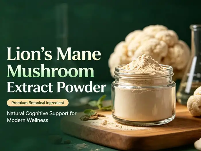 lion's mane mushroom extract powder lion's mane mushroom extract powder