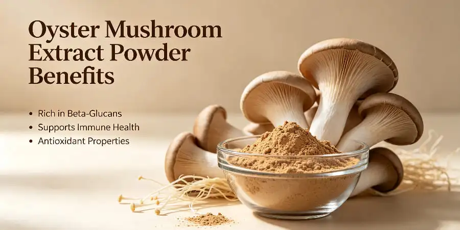 Health Benefits and Usage of Oyster Mushroom Extract Powder