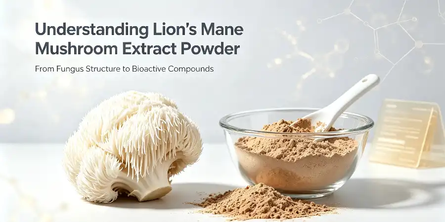 Understanding Lion's Mane Mushroom Extract Powder