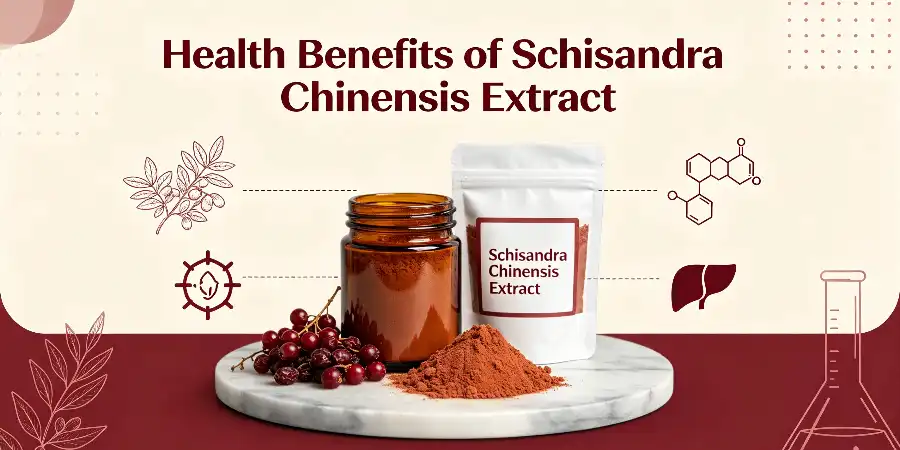 Health Benefits of Schisandra Chinensis Extract