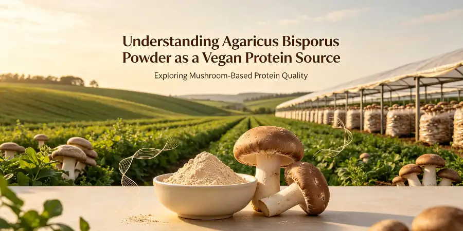Understanding Agaricus Bisporus Powder as a Vegan Protein Source