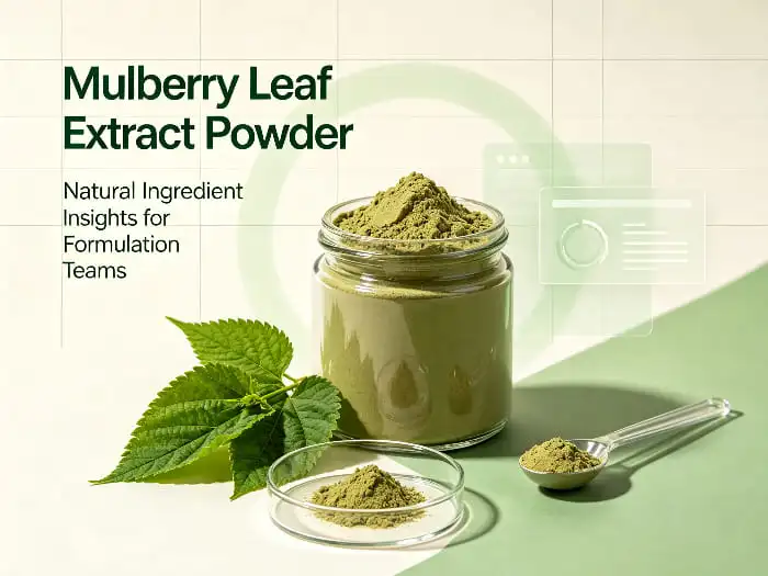 Mulberry leaf extract powder