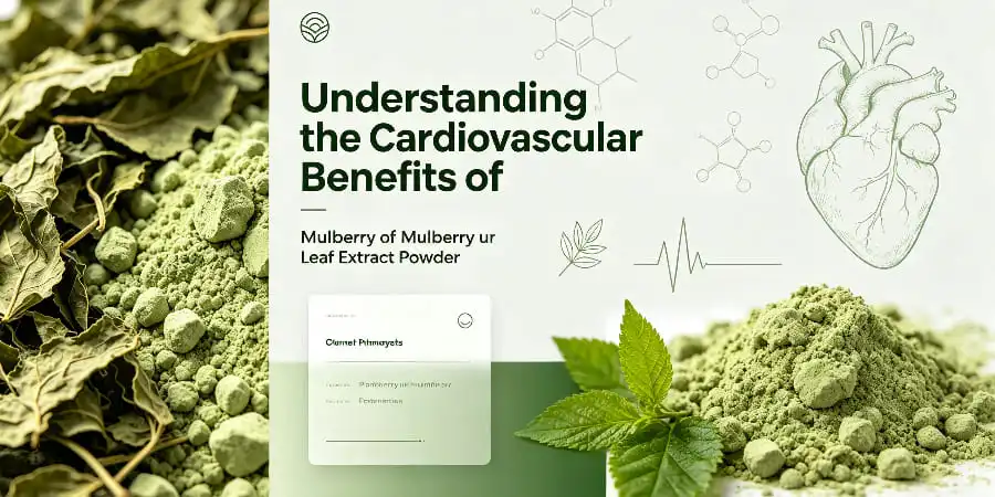 Understanding the Cardiovascular Benefits of Mulberry Leaf Extract Powder