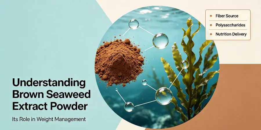 Understanding Brown Seaweed Extract Powder and Its Role in Weight Management