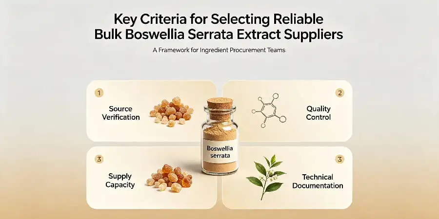 Key Criteria for Selecting Reliable Bulk Boswellia Serrata Extract Suppliers Key Criteria for Selecting Reliable Bulk Boswellia Serrata Extract Suppliers