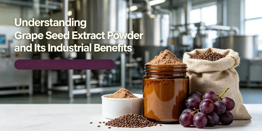 Understanding Grape Seed Extract Powder and Its Industrial Benefits Understanding Grape Seed Extract Powder and Its Industrial Benefits