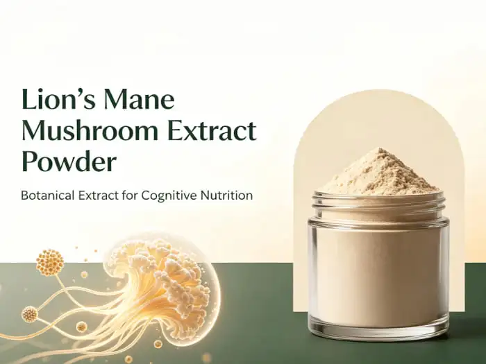 Lion's mane mushroom extract powder