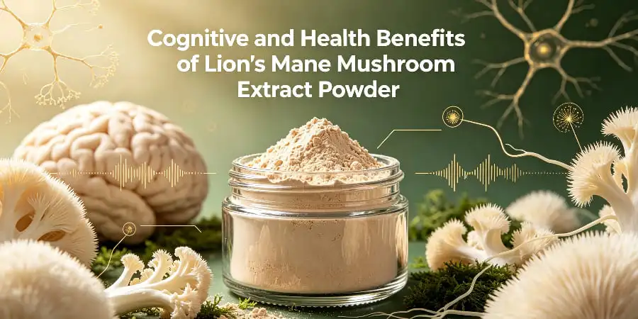 Cognitive and Health Benefits of Lion's Mane Mushroom Extract Powder