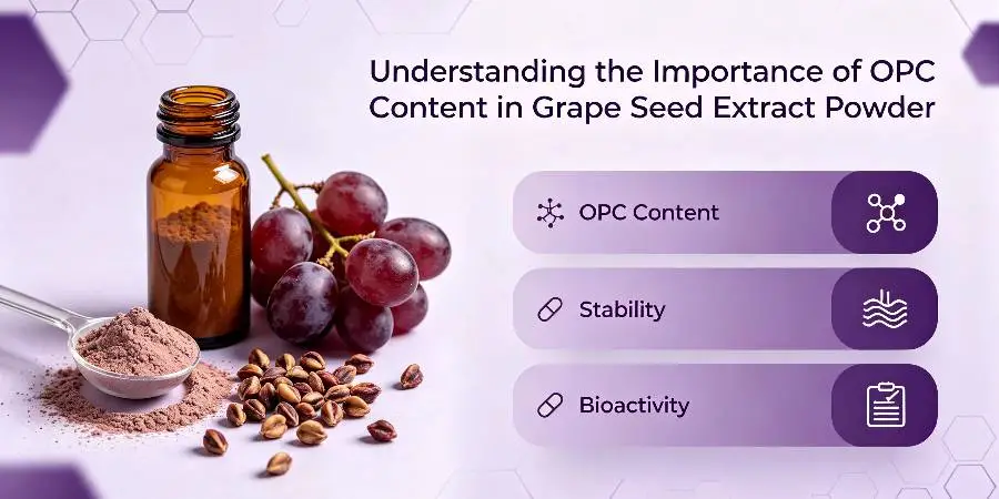 Understanding the Importance of OPC Content in Grape Seed Extract Powder