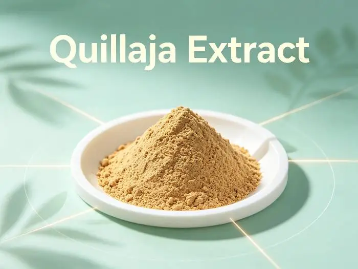 Quillaja Extract Quillaja Extract