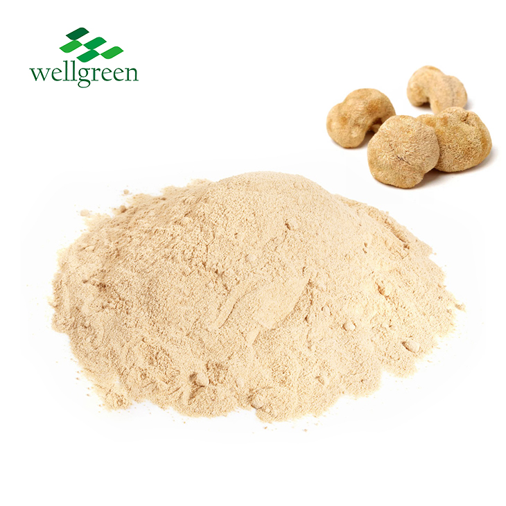 Organski Hericium Erinaceus u prahu