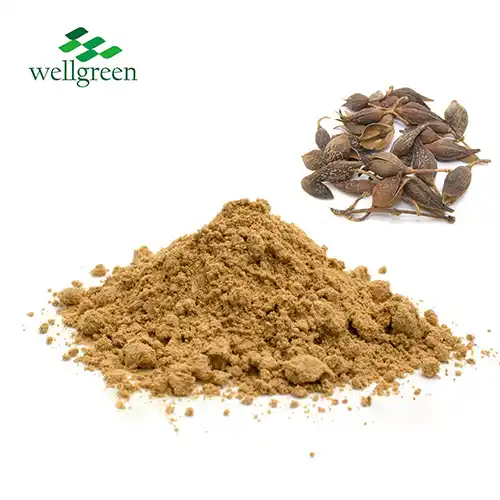 Forsythia Suspensa Extract