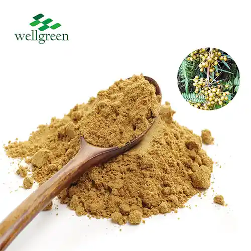 Ekstrakt Saw Palmetto u prahu