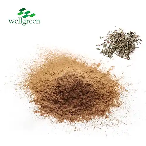 Ekstrakt Polygonum Aviculare