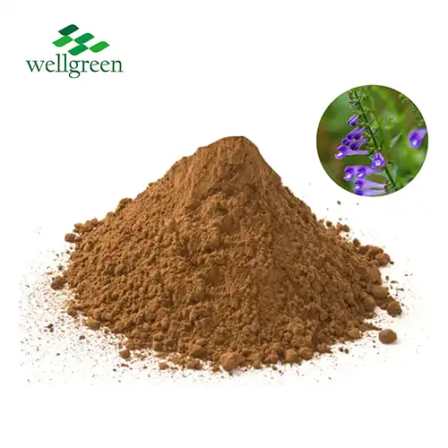 Ekstrakt Scutellaria Barbata