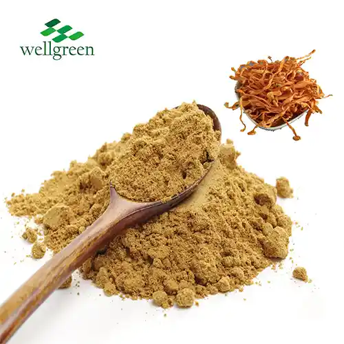 Cordyceps Militaris u prahu