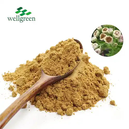 Pluchea indica ekstrakt