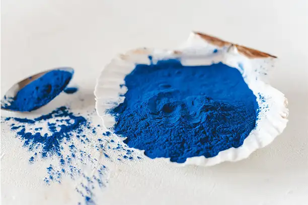 Wat is fycocyanine?
