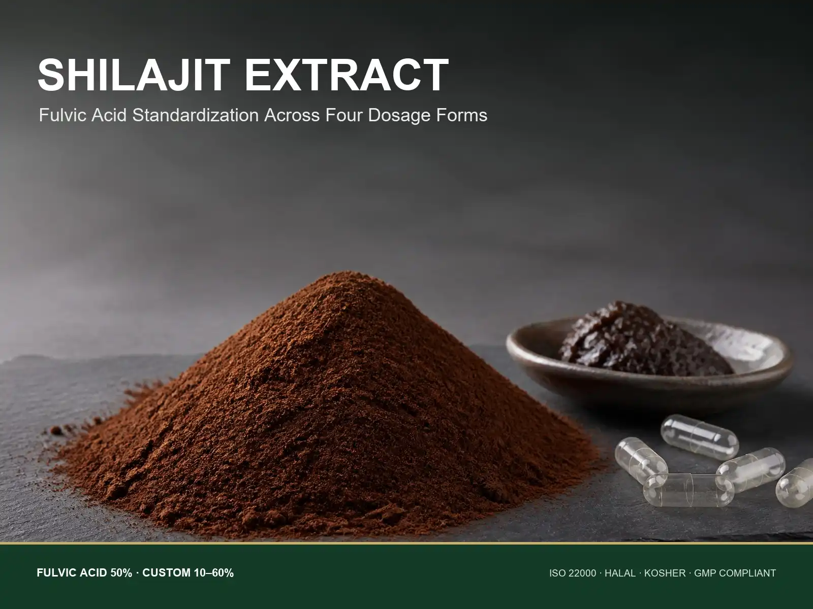Shilajit Extract Applications in Functional Ingredient Formulations