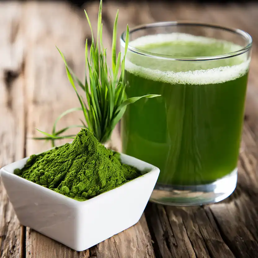 Is Organic Barley Grass Powder Good For Detox?