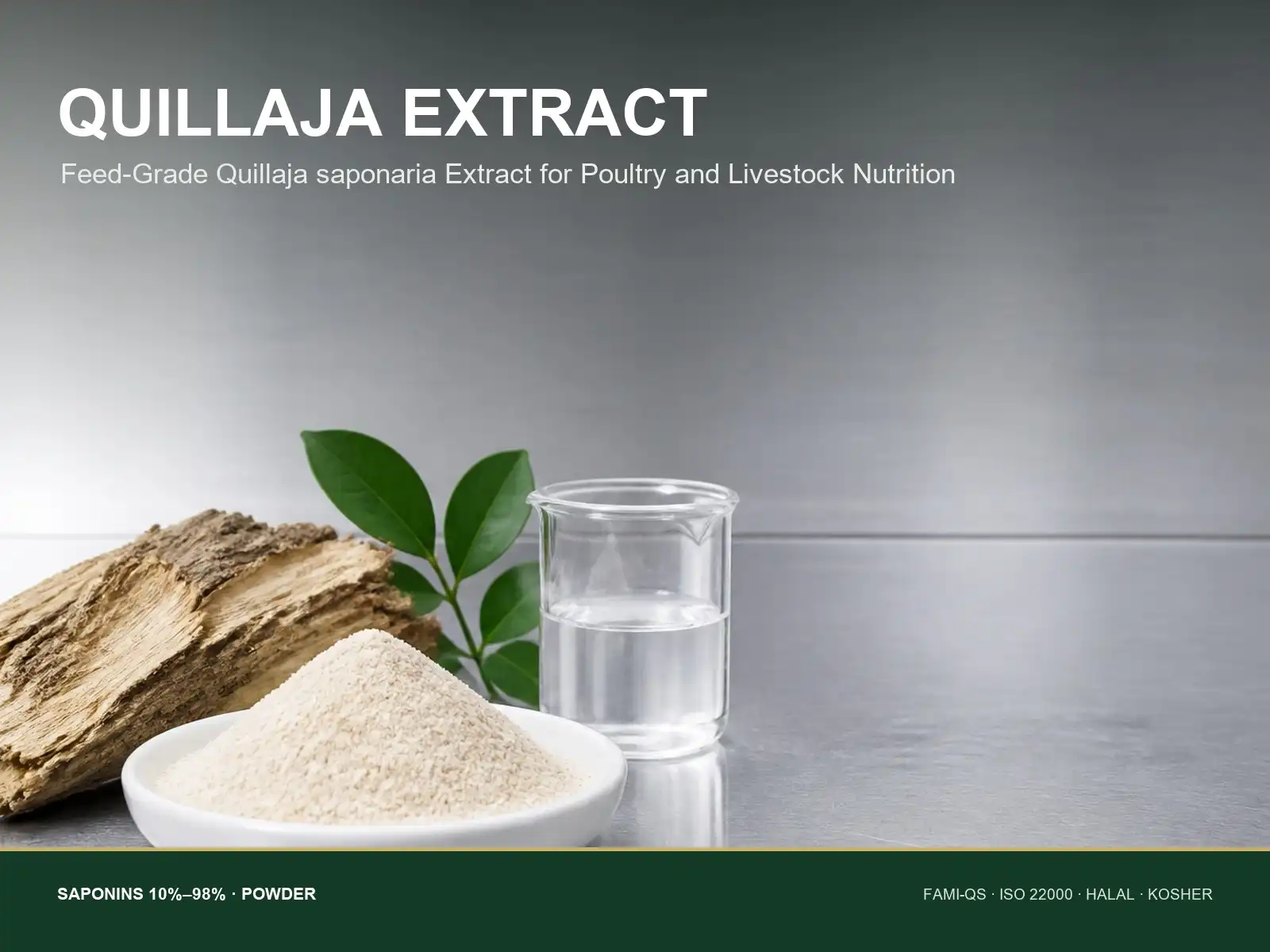 Why Is Quillaja Extract Used in Poultry and Livestock Feed?