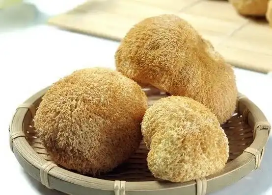 A Deep Dive into the Nutritional Profile of Organic Hericium Erinaceus Powder