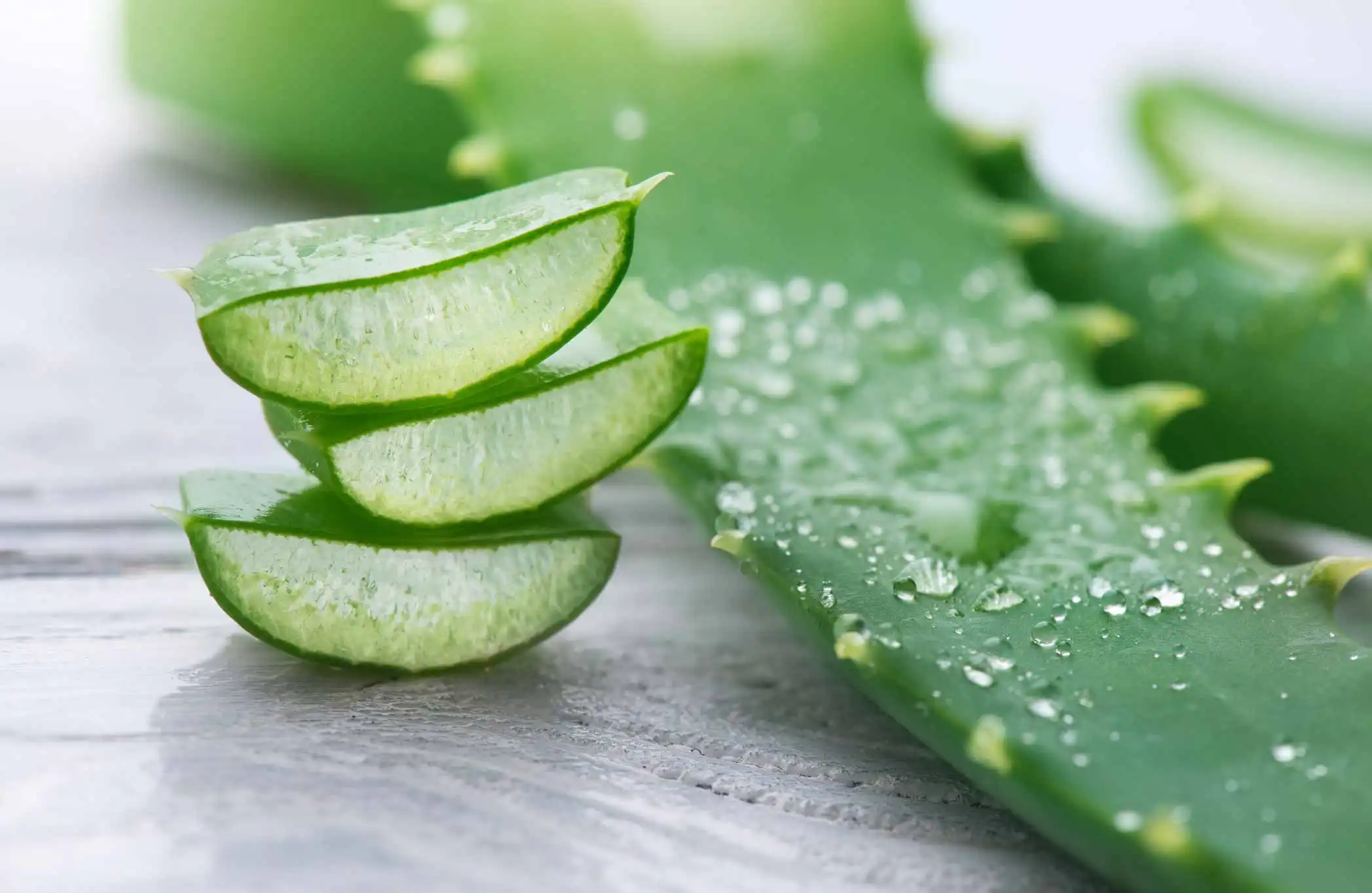 Apa Bubuk Aloe Vera Organik Apik kanggo Kulit?
