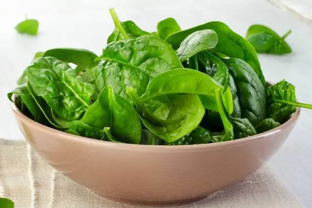 Is spinach powder as good as fresh？