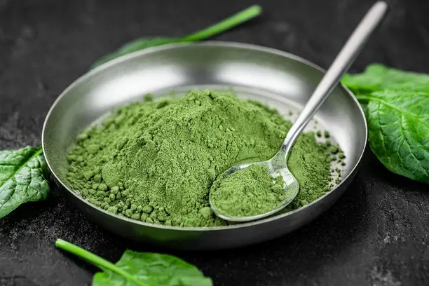 What is spinach powder used for？