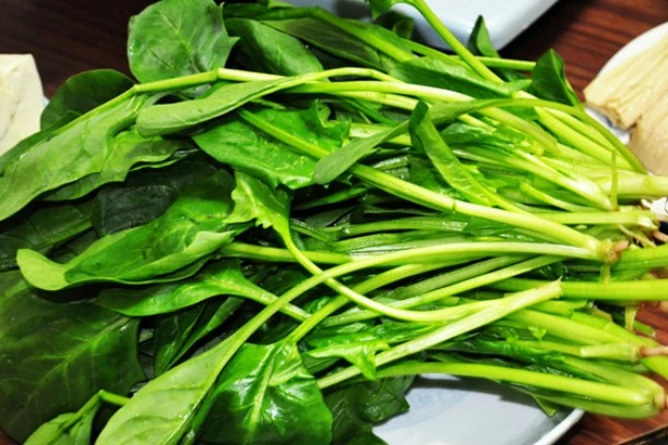 Where to buy spinach powder？