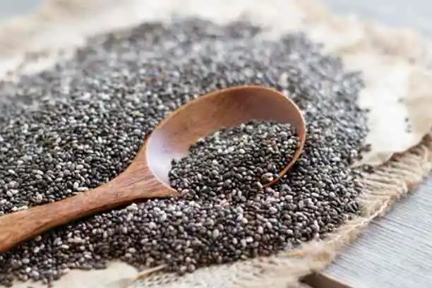 What is the benefit of Salvia Hispanica Seed Extract?