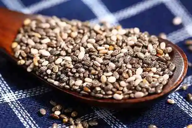 Is it okay to eat Salvia Hispanica Seed Extract every day?