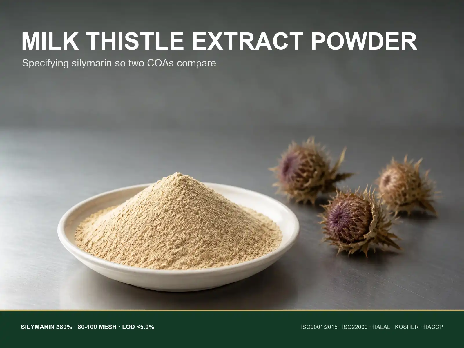 Milk Thistle Extract Powder Supports Consistent Silymarin Content in Bulk Formulations