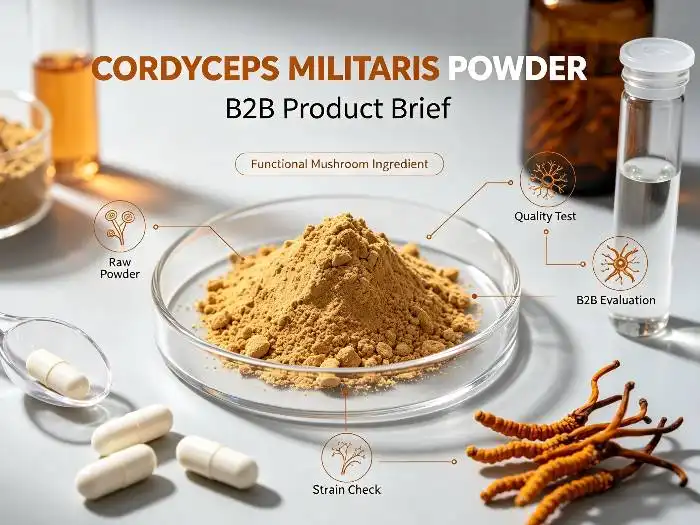 Σκόνη Cordyceps Militaris: Ένα λειτουργικό συστατικό μανιταριού για σύγχρονα προϊόντα διατροφής