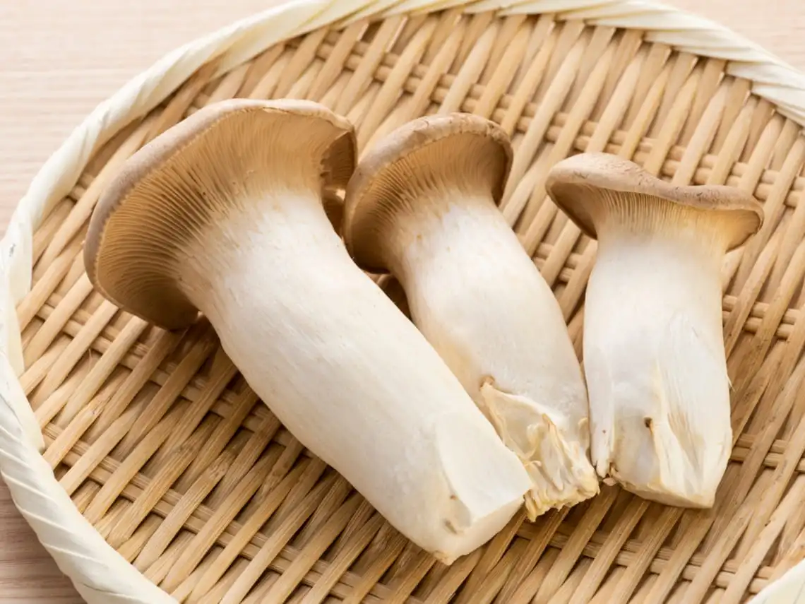 What are the Benefits of King Trumpet Mushroom Powder?